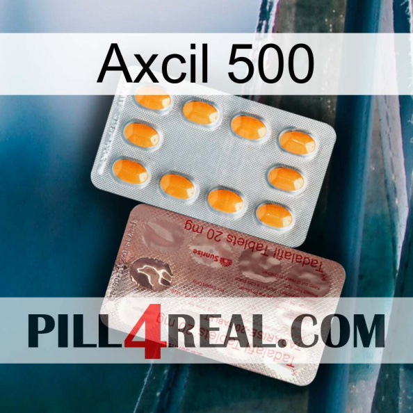 Axcil 500 new13.jpg